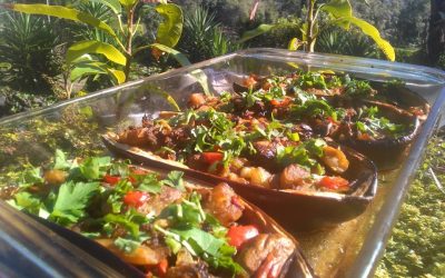 My Favorite Eggplant Dish